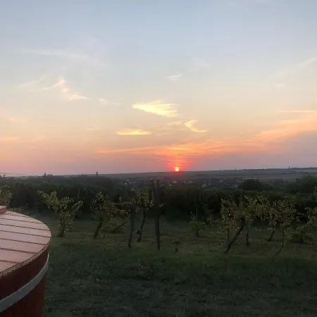 Semesterbostad Balatoni Preshaziko Szolosgyorok