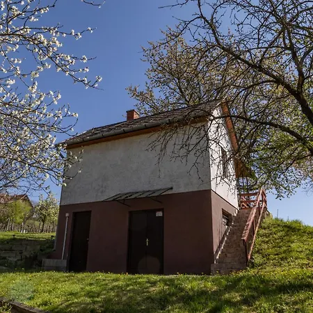 Balatoni Preshaziko Semesterbostad *
