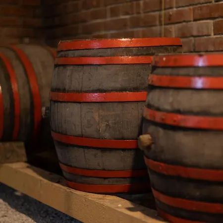 Balatoni Preshaziko Semesterbostad Szolosgyorok