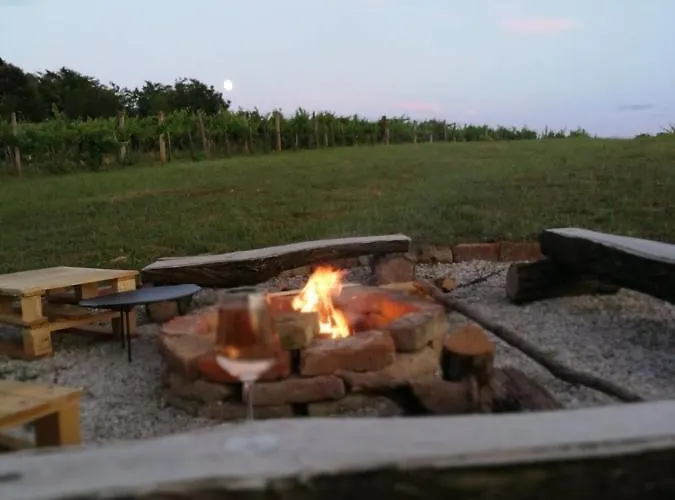 Ferienhaus Balatoni Preshaziko