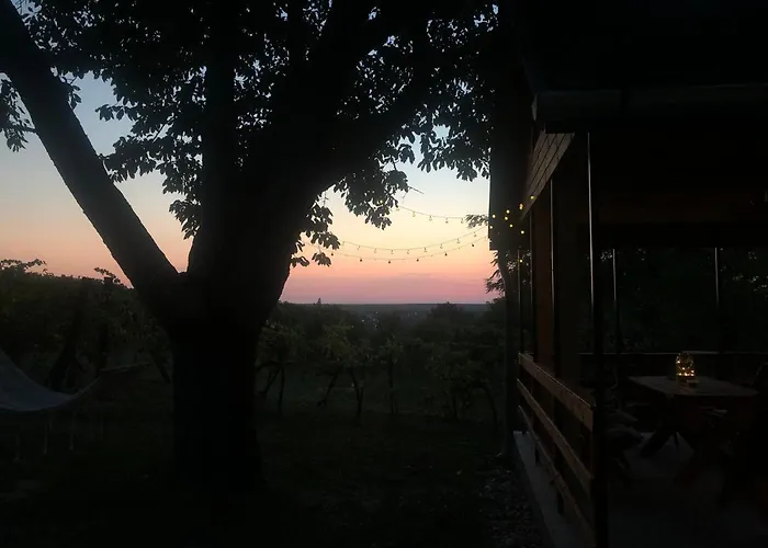 Vakantiehuis Balatoni Preshaziko *