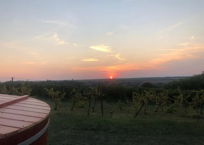 Ferienhaus Balatoni Preshaziko Szolosgyorok